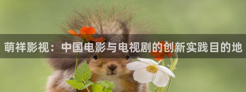 被窝影院在线观看蜜桃